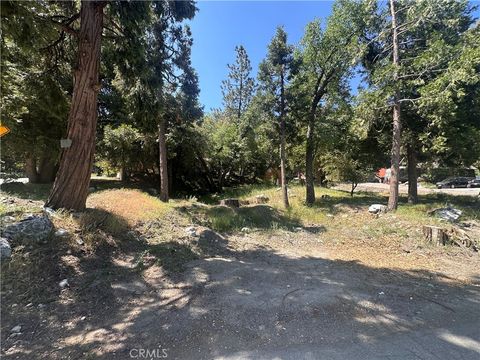 0 Valley Of The Falls Drive Forest Falls CA 92339