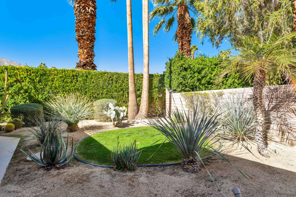 Indian Canyons - Residential