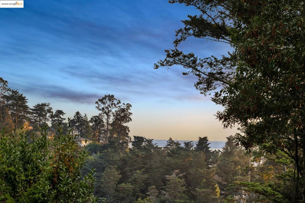 PIEDMONT PINES - Residential
