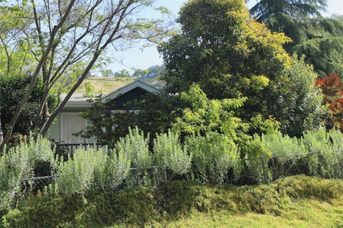 Photo of 6894 La Helena DR, Lucerne, CA 95458 (MLS # LC26090493)