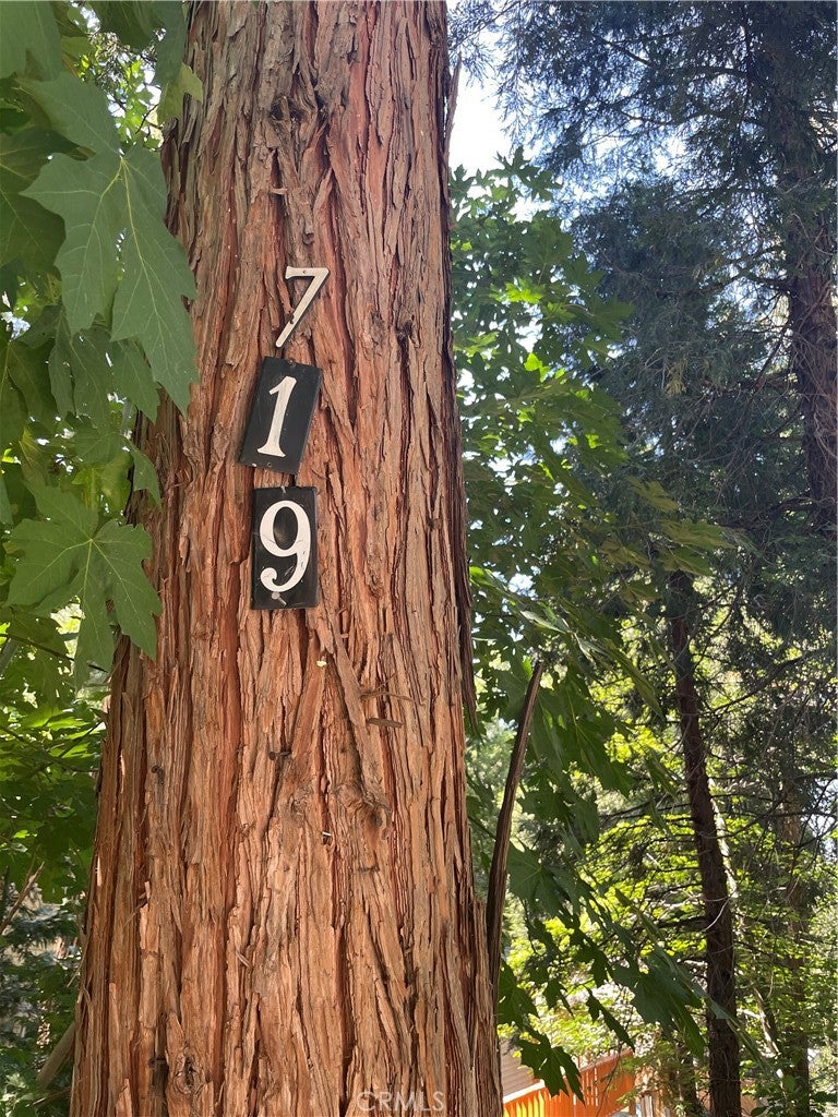 719 Woodland Road