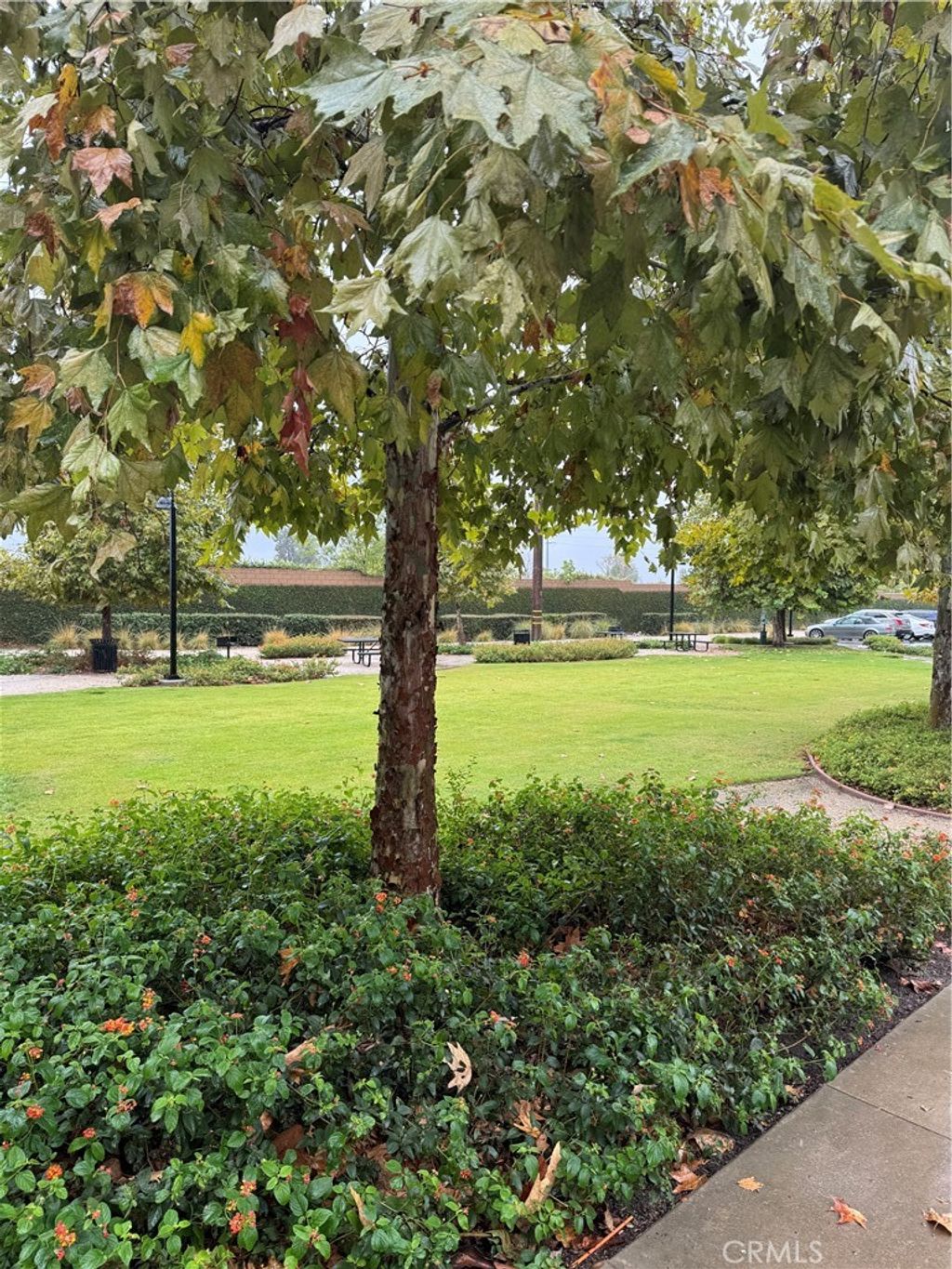 Photo of 1074 Newberry Lane, Claremont, CA 91711 (MLS # CV25243767)