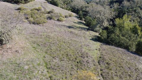 Tiny photo for 0 El Monte, Templeton, CA 93465 (MLS # NS25273520)