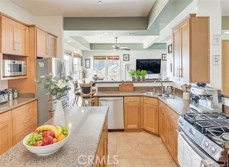 1469 Topa View Trl
