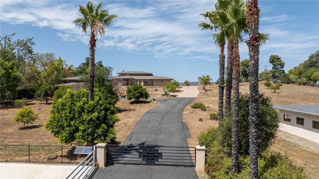1186 Lydia Lane