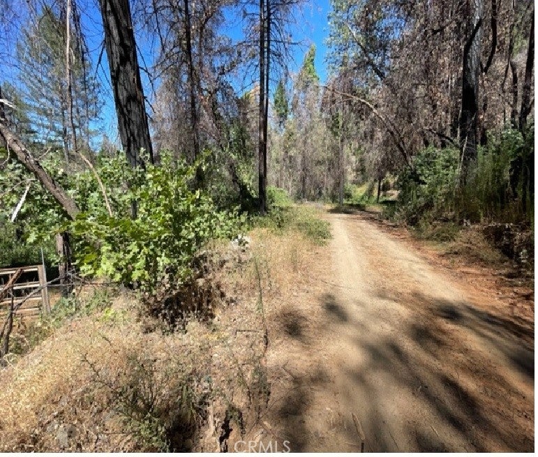 27 Broken Springs