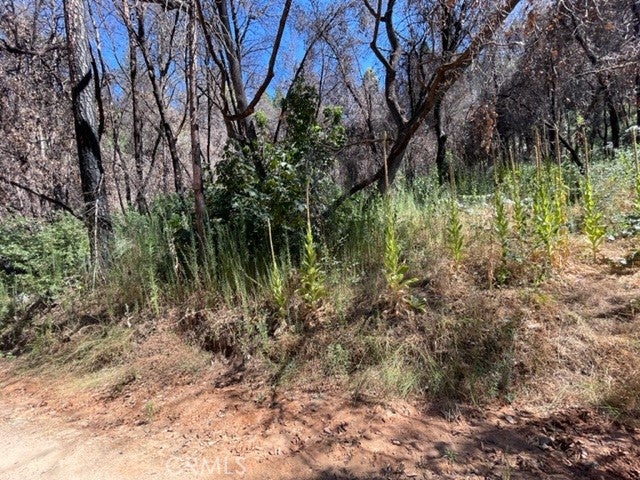 27 Broken Springs