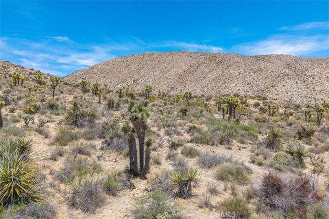 Photo of 55652 Buena Vista Drive, Yucca Valley, CA 92284 (MLS # JT26118709)