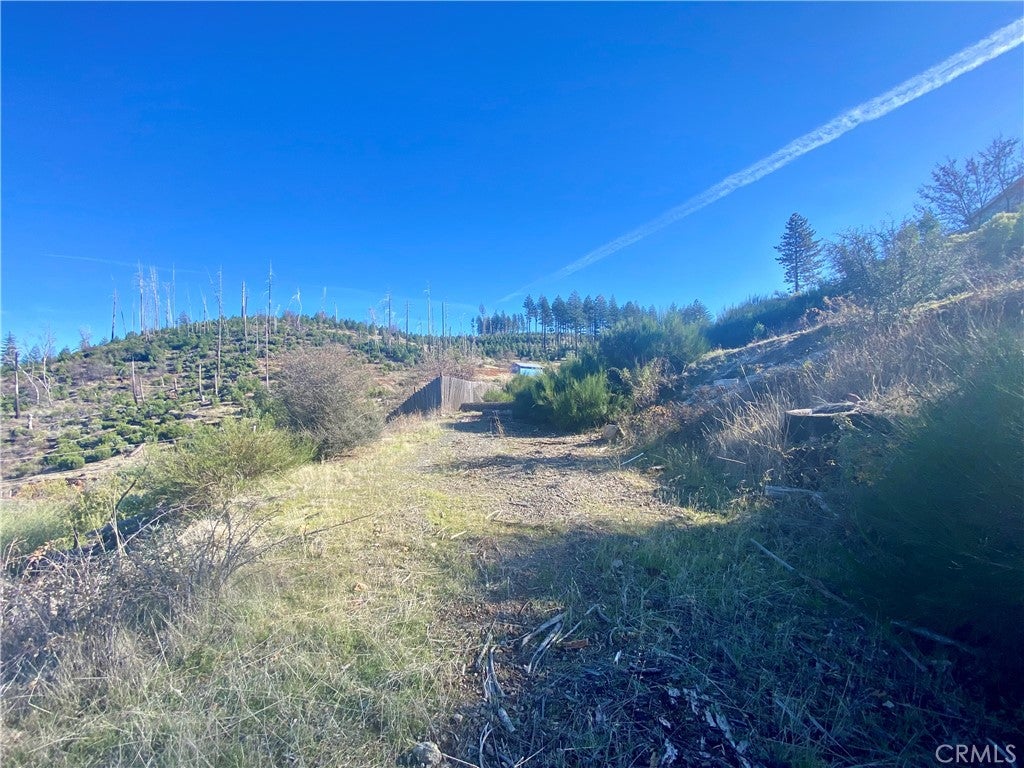 14733 Dove Drive