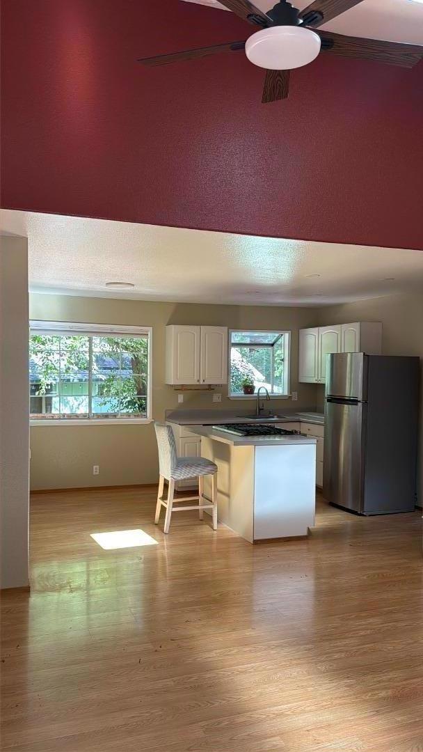 411 Manzanita Road