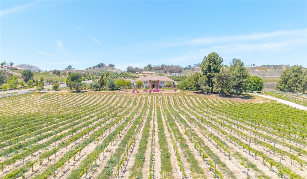 37028 De Portola Road