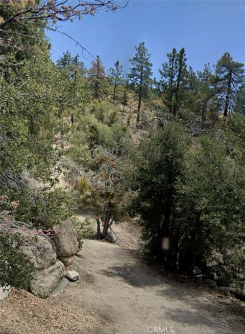 Photo of 0 Tank Rd, Running Springs, CA 92382 (MLS # CV25144037)