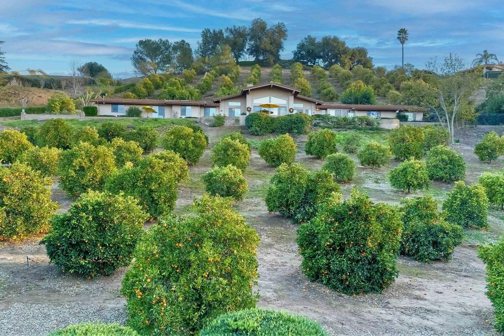 15615 Pauma Valley Dr