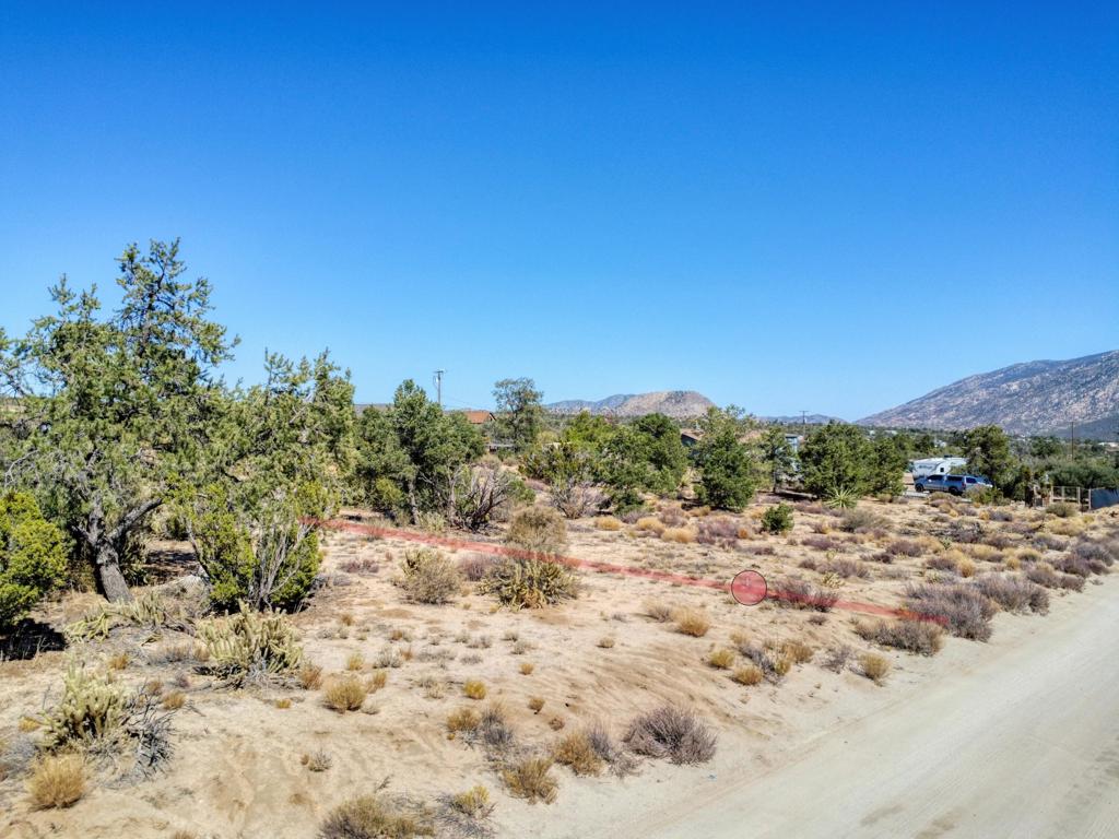 635272003 Palm Canyon Drive Drive