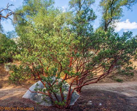 Photo of 1 Cryer Road, Poppet Flats Road, Banning, CA 92220 (MLS # 219131126DA)