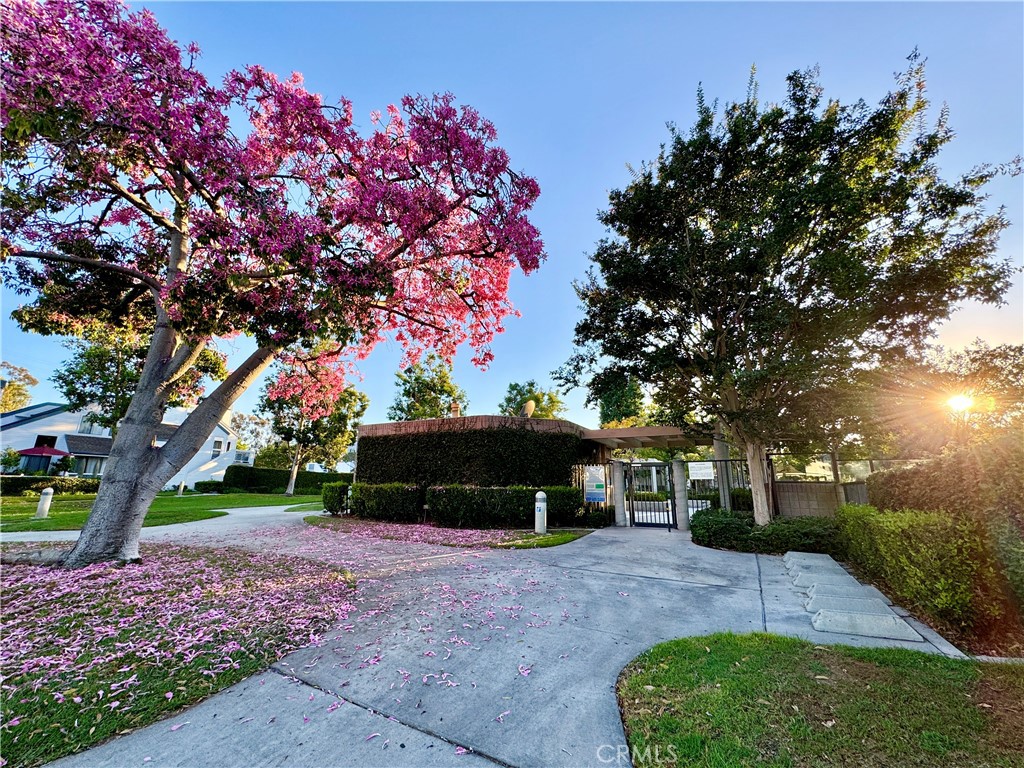 Laurels (LR) - Residential Lease