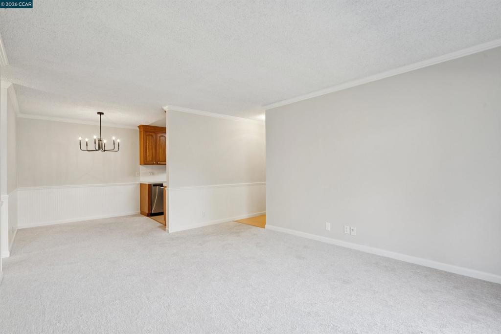 1407 Marchbanks Drive 3