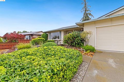 Photo of 1119 San Jose Dr DR, Antioch, CA 94509 (MLS # 41133848)