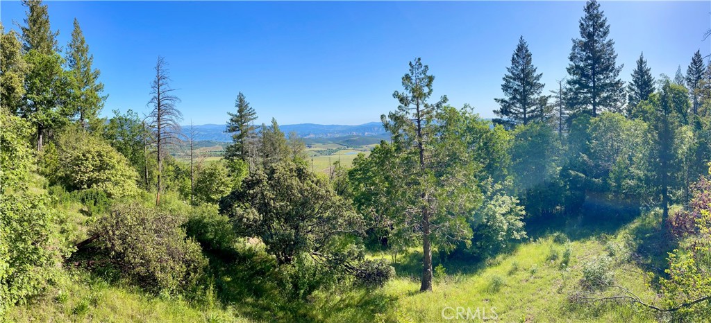 9233 Diamond Dust Trail