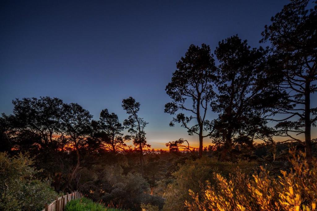 24694 Dolores Street