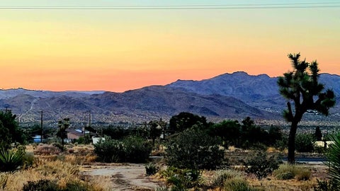 Photo of 60307 Alta Loma Drive, Joshua Tree, CA 92252 (MLS # 219154204PS)