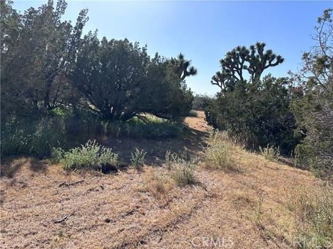 Photo of Daisy Road, Oak Hills, CA 92344 (MLS # PTP2600179)