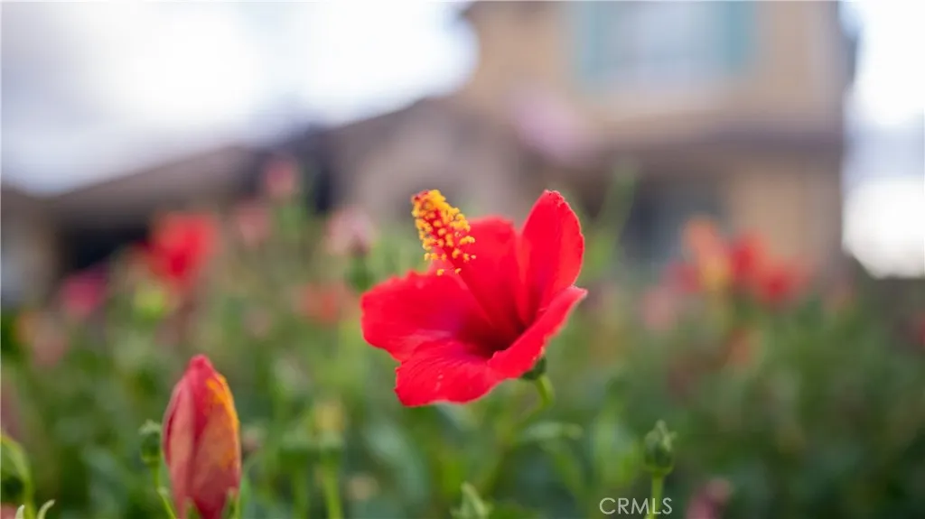 Rancho Cucamonga, California 91739, United States, 4 Bedrooms Bedrooms, ,3 BathroomsBathrooms,Residential,Active,225008