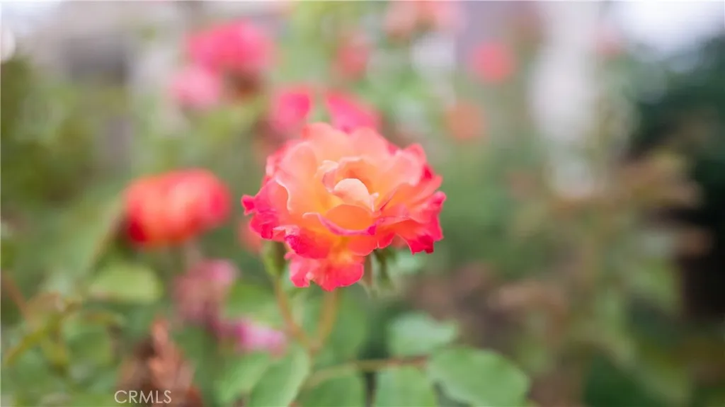 Rancho Cucamonga, California 91739, United States, 4 Bedrooms Bedrooms, ,3 BathroomsBathrooms,Residential,Active,225008