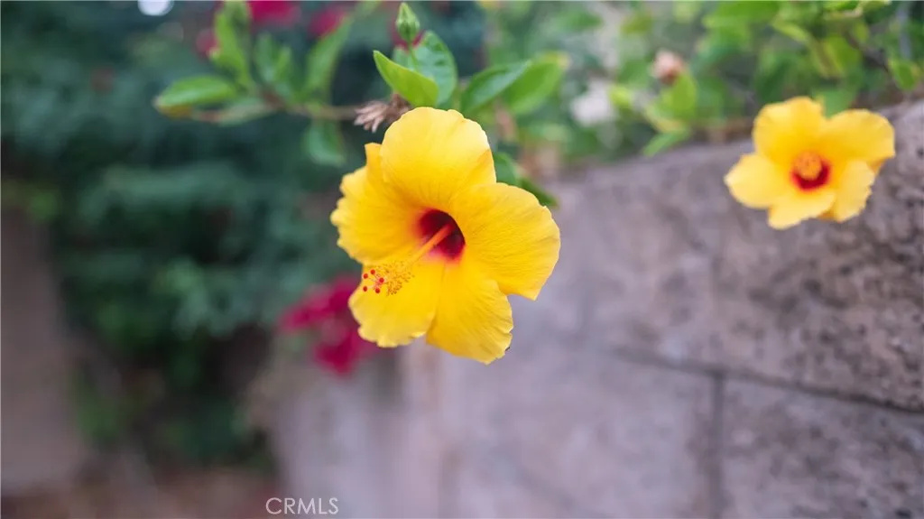 Rancho Cucamonga, California 91739, United States, 4 Bedrooms Bedrooms, ,3 BathroomsBathrooms,Residential,Active,225008