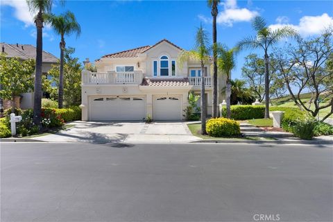 2 Dellwood Trabuco Canyon CA 92679