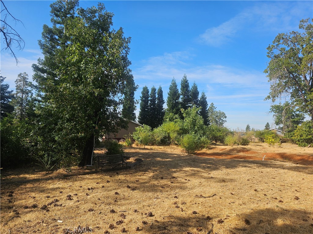 Beautiful Treed Lot – Nearly Half an Acre in Prime Location!
Rare opportunity to own a level, nearly half acre lot in a quiet cul-de-sac within a highly sought-after, centrally located neighborhood. This gorgeous property features multiple mature fruit trees, majestic cypress, towering pine, fur and silvertip trees and a serene, natural setting perfect for your dream home. Situated in a peaceful community, this centrally located lot offers both tranquility and convenience — close to schools, shopping, dining, and main commuter routes. The lot’s level terrain makes building a breeze, and the established neighborhood adds lasting value.