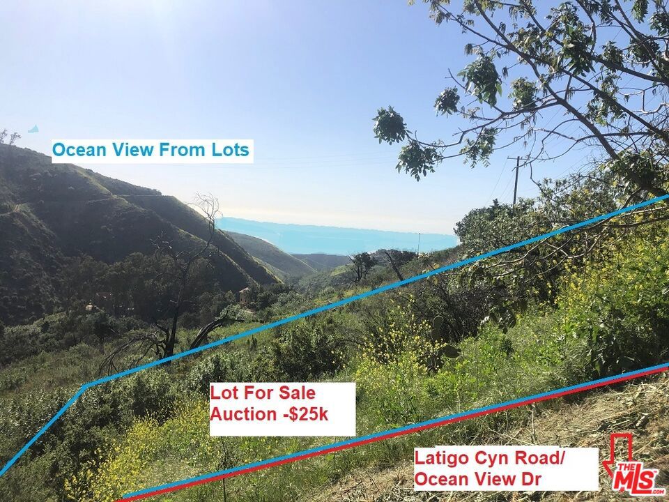 4218 Latigo