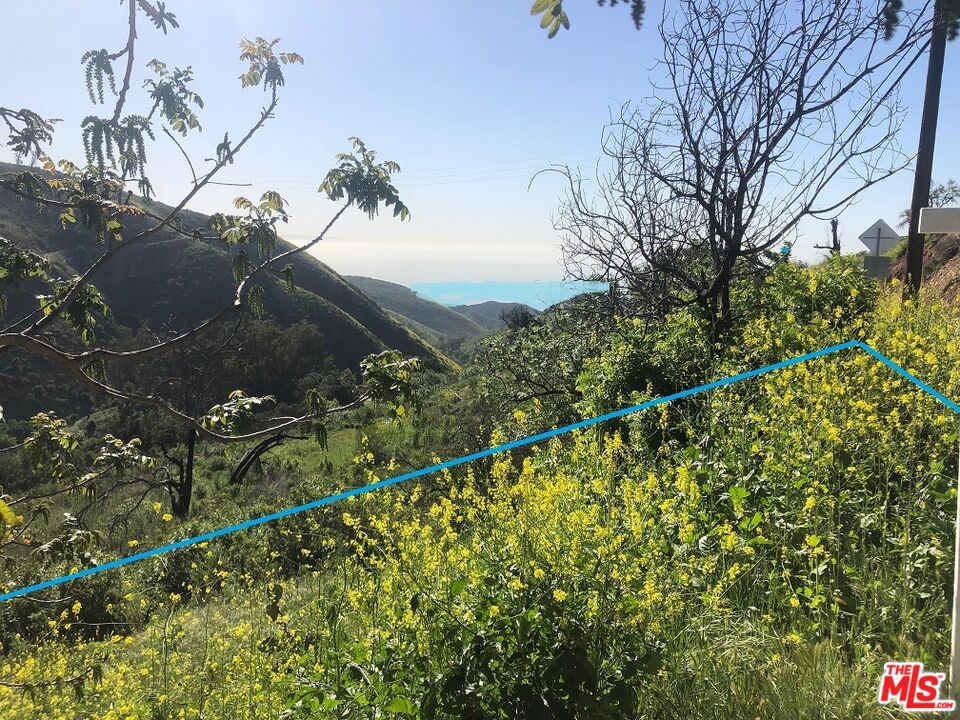 Malibu Ocean View Lot ! 50 feet by 111 feet down hill lot with beautiful views through Latigo Canyon to the ocean below. Great price for a lot in area with many homes selling from $800 to $1400 per foot. Tremendous Opportunity to build a home and live in Malibu. Only 3 miles to PCH and 5 miles to center of Malibu and Pepperdine University. There are no reports or studies for this property. Lot next door is also for sale for $130,000. See photos section for detailed aerial maps to property.