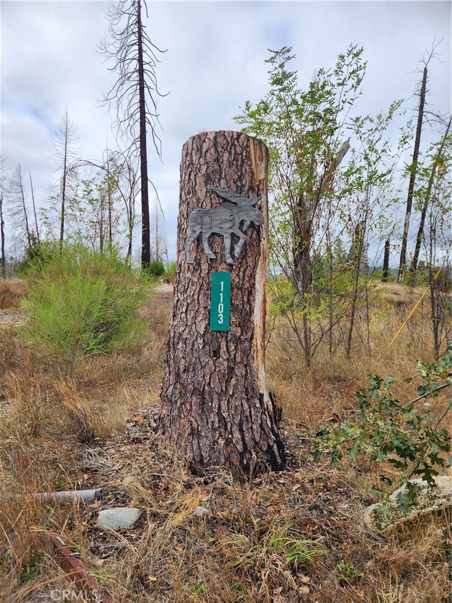 Set in Berry Creek, this scenic parcel of land offers a unique opportunity to build your new dream home or getaway retreat. Located just off Bald Rock Road, the property sits in a serene, elevated setting with sweeping mountain views and easy access to two of Northern California’s most beloved destinations—Lake Oroville and Bucks Lake.
Once home to a residence, the lot retains the charm of a lived-in site and the convenience of prior infrastructure, with utilities previously in place (buyer to verify). Surrounded by natural beauty and the peaceful sounds of nature.
This is a perfect spot for outdoor lovers, offering nearby access to boating, hiking, fishing, and exploring the stunning Bald Rock Dome. Whether you’re envisioning a private mountain home, a vacation cabin, or a long-term investment, this land holds rare potential in a sought-after setting.
Don’t miss your chance to bring new life to a property with history, heart, and incredible views. Make the call!!!