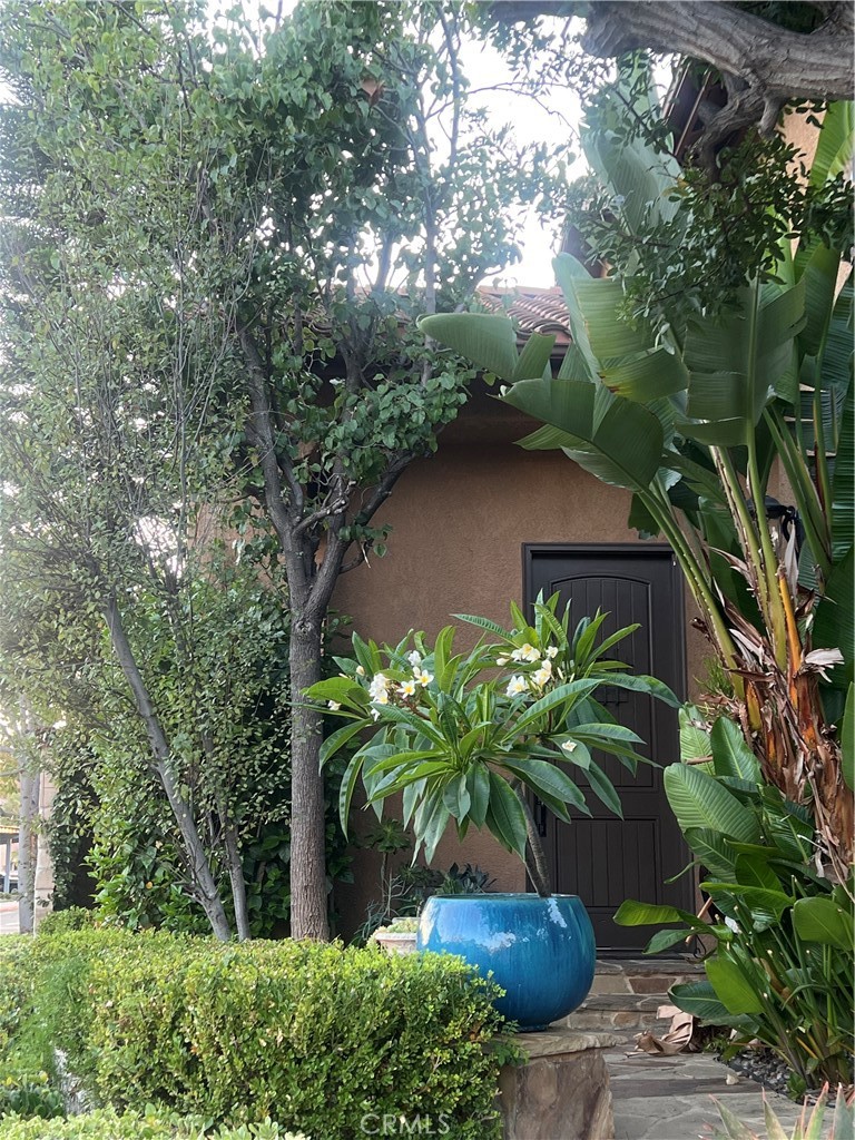 Serrano (SERR) - Residential Lease