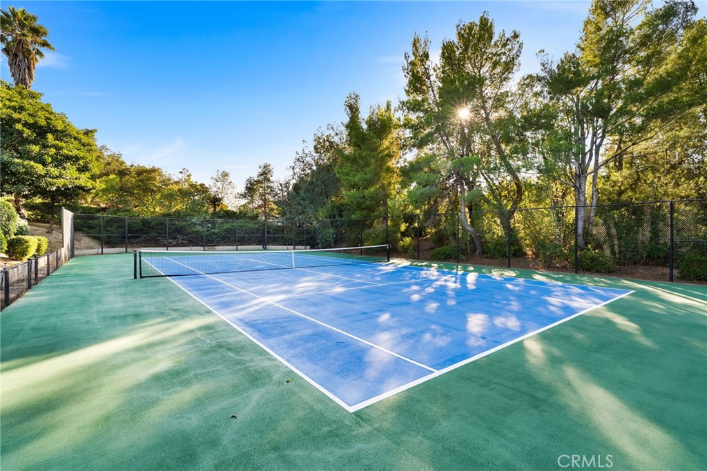 17702 Santiago Canyon