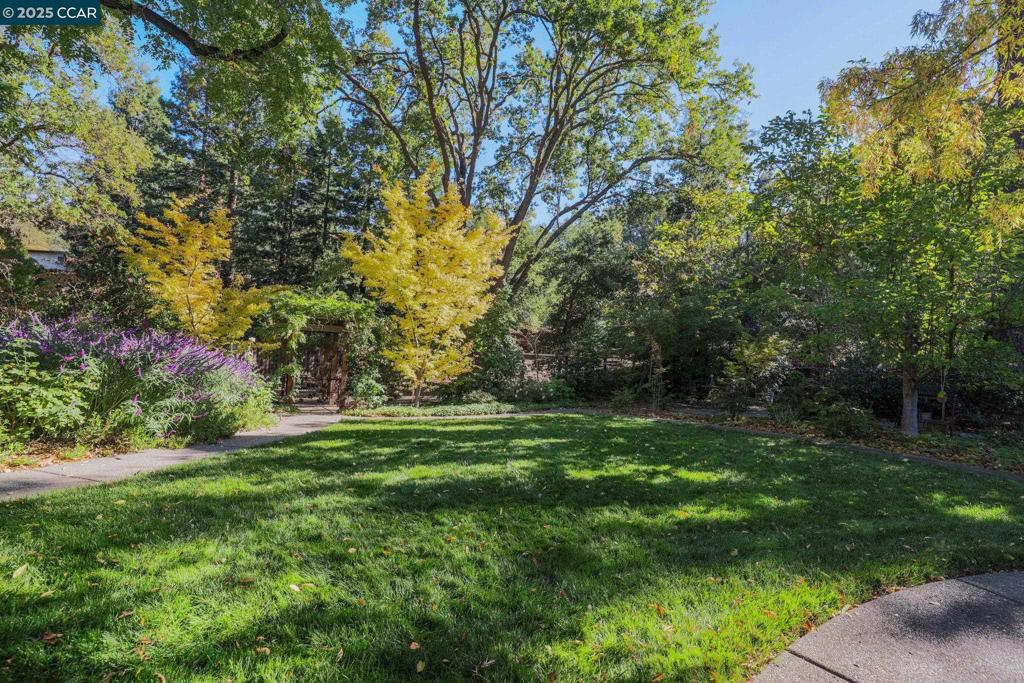 SOUTH WALNUT CR - Residential