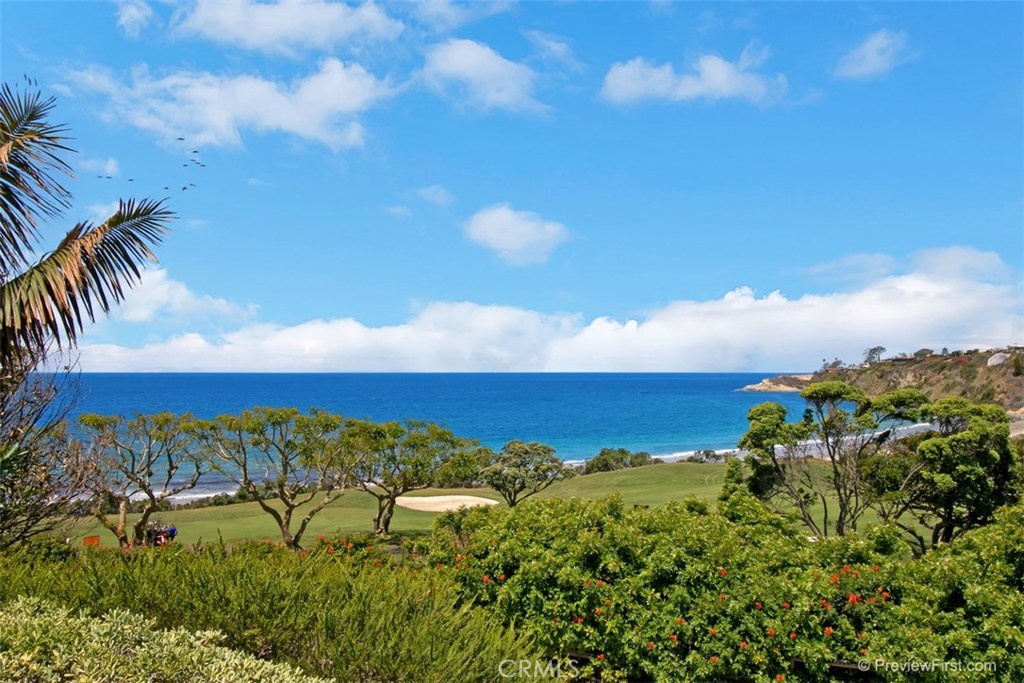 Ritz Cove (RC) - Residential Lease