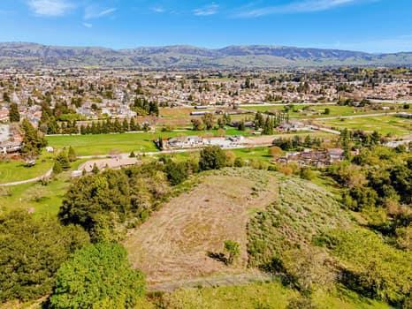 15311 Sycamore Drive