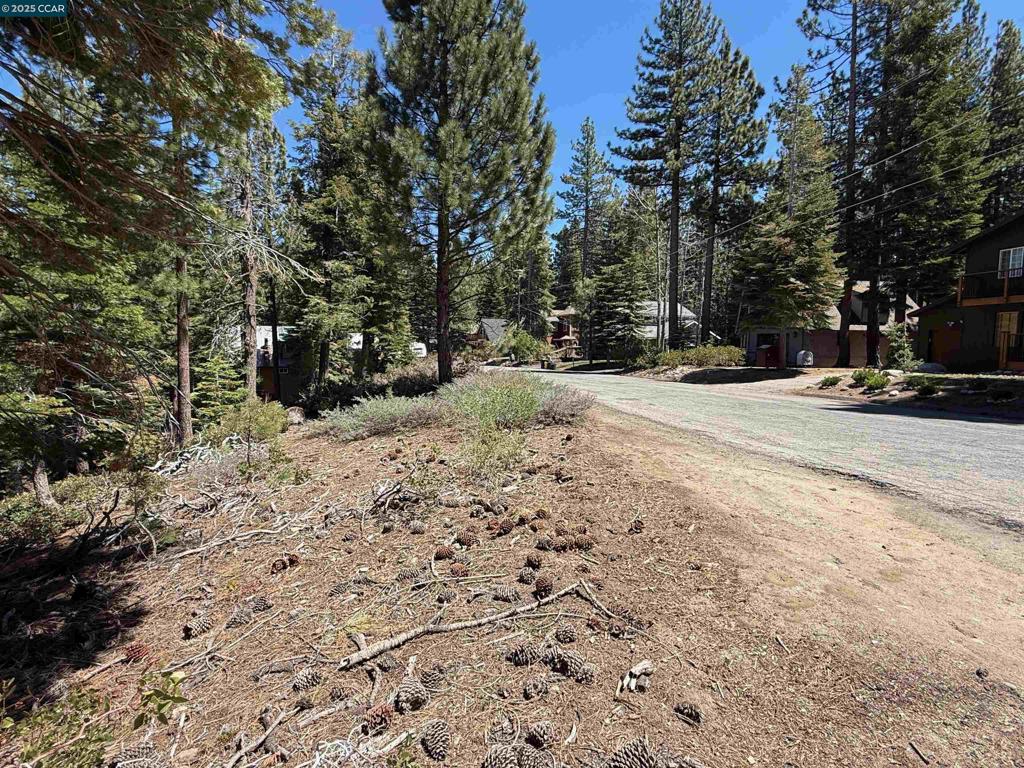 1578 Skyline Drive