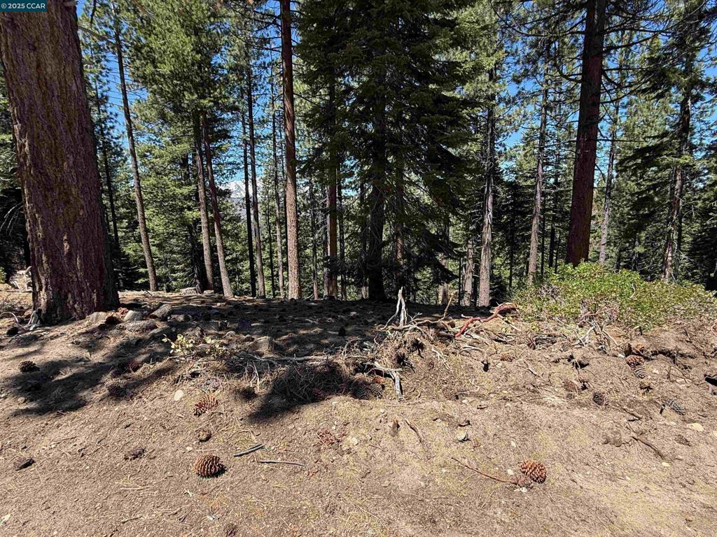 1578 Skyline Drive