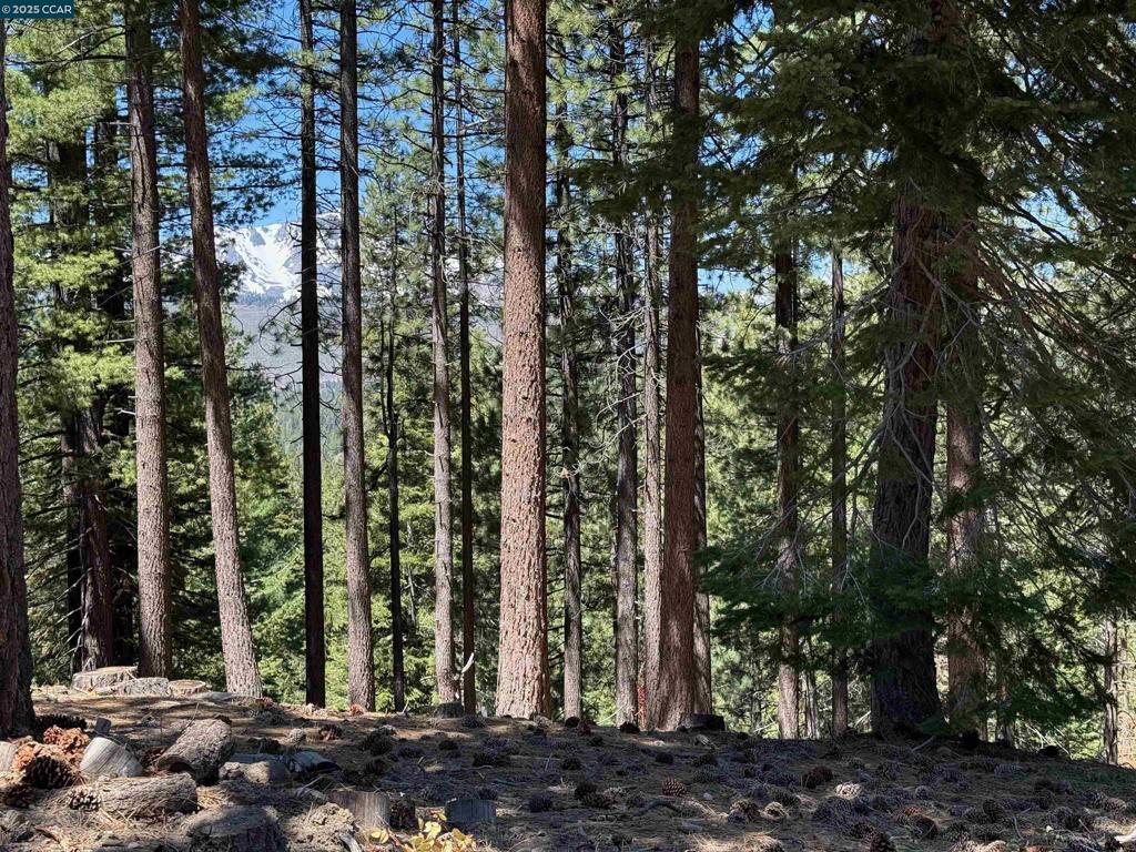 1578 Skyline Drive
