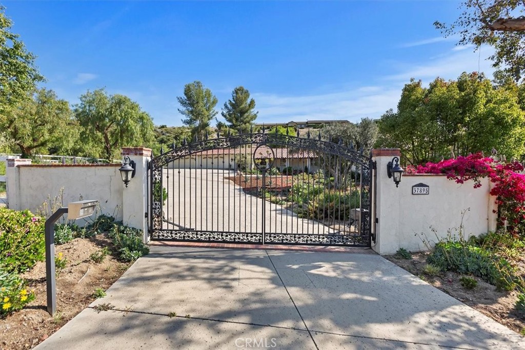 37895 Avenida Bravura