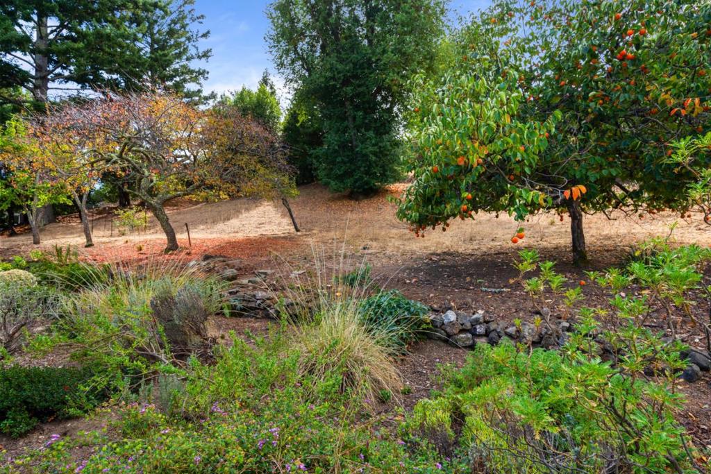 205 Old Spanish Trail