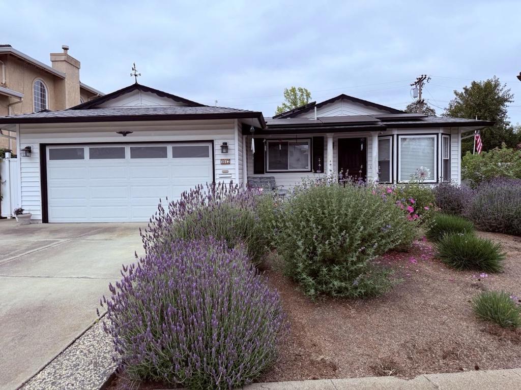 Cupertino Schools, Nice 3 bedroom 2 bath with expanded Family room. Kitchen and baths have been updated. Owned Solar Electrical panels, on demand water heater. Several skylights. Big pie lot with big storage shed. Screen room. Termite / Property and Roof Inspections will be available. Seller in the process of packing 66 years of family memories process has been slow. OPen House this Sat & Sun 1-4pm