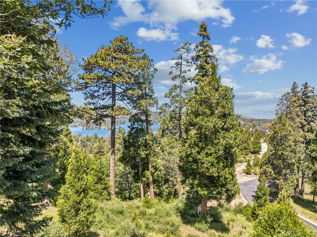 280 Ponderosa Peak