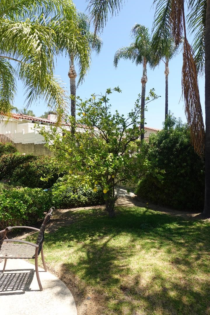 2534 E Vista