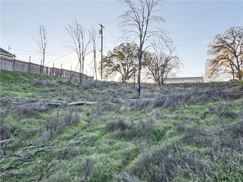Photo of 17150 Deer Park Dr, Lower Lake, CA 95457 (MLS # LC26208618)