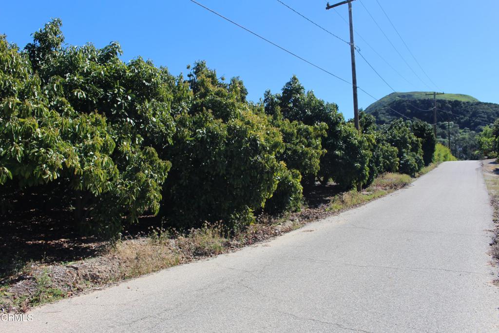 Properties 3 1550 Santa Paula Street