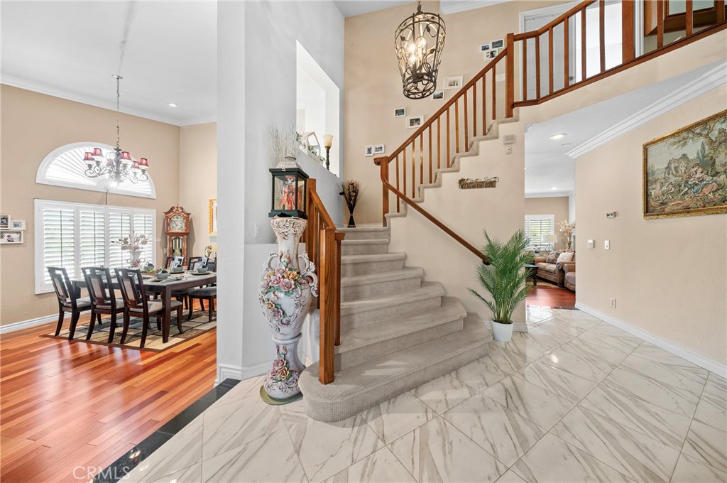 24300 Knoll Court